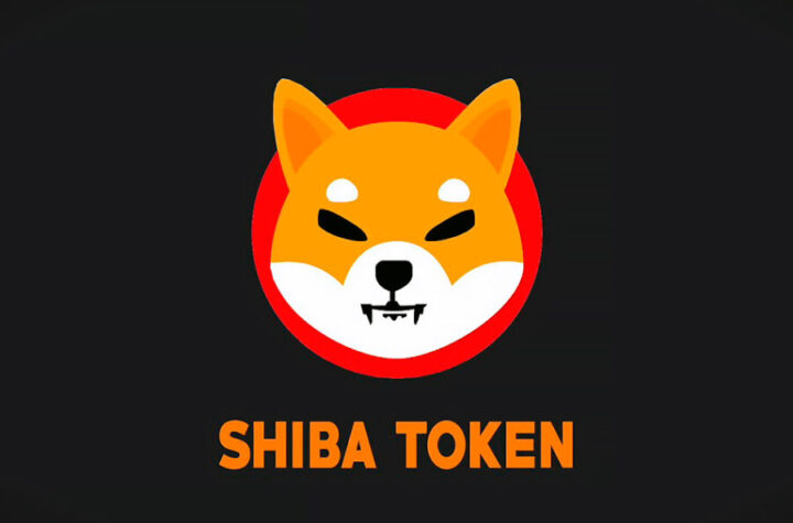 Thông tin tổng quan về SHIB coin